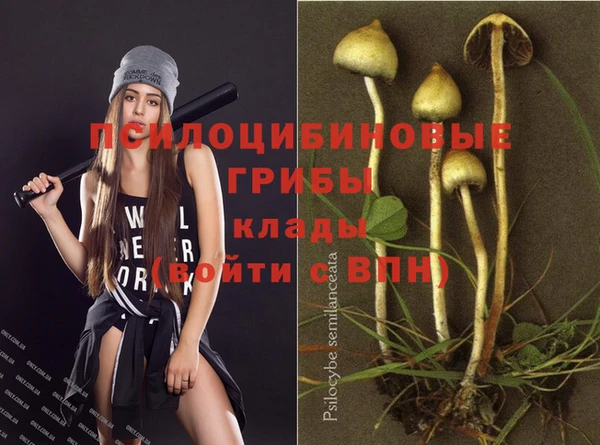 винт Алексеевка