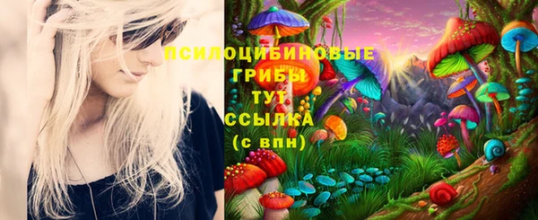 a pvp Алексин