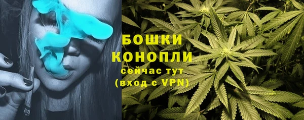 мет Аркадак