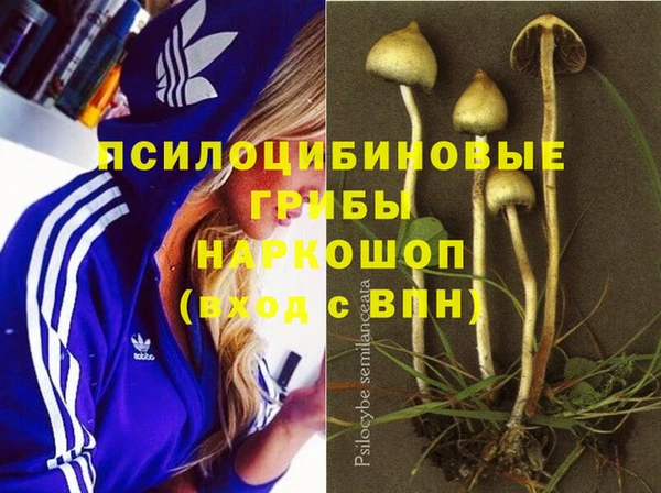 a pvp Алексин