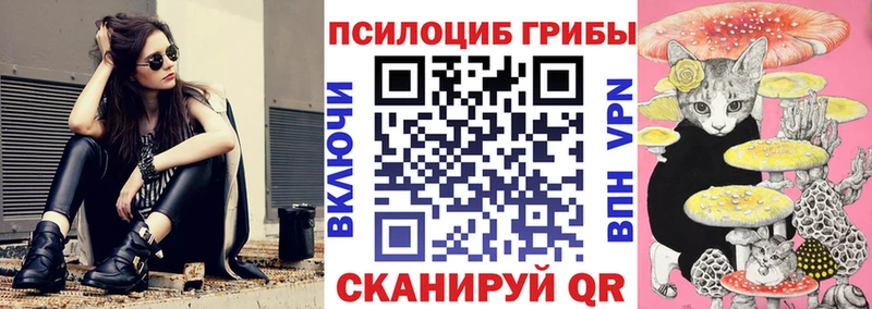 сколько стоит  Поронайск  Псилоцибиновые грибы Psilocybine cubensis 